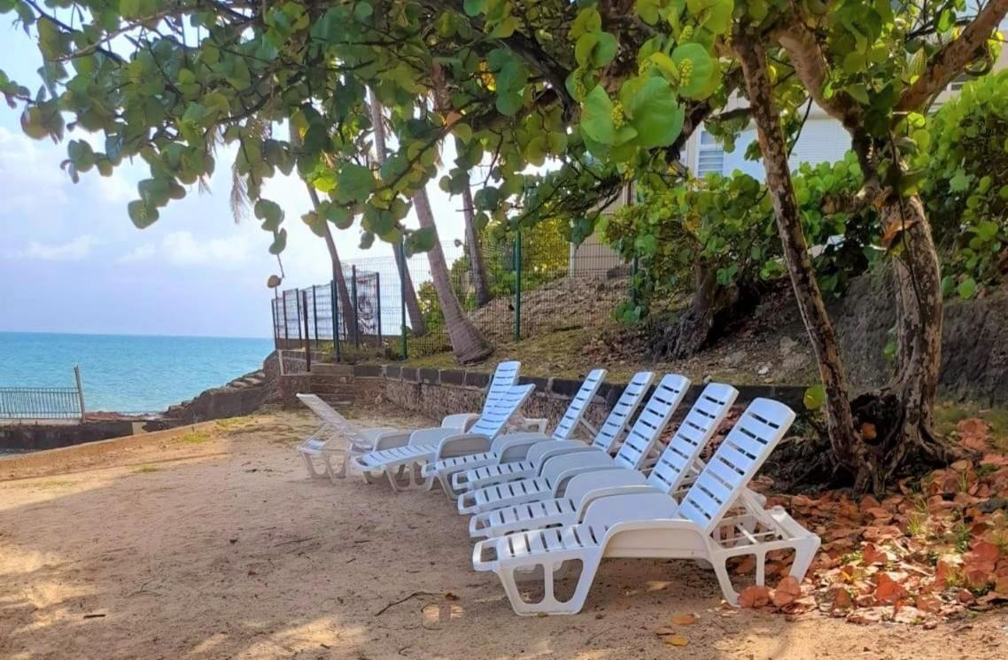 Ilet Bleu Studio Cosy Rdc Vue Mer Et Jardin - Acces Direct Plage Le Gosier  Exteriör bild