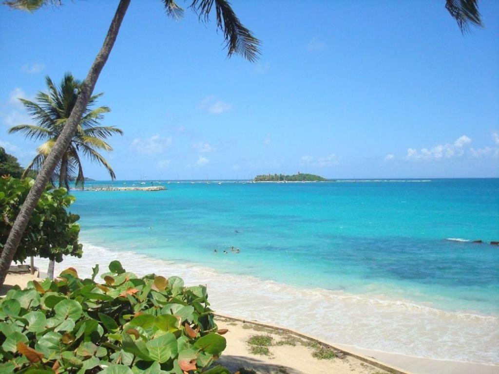 Ilet Bleu Studio Cosy Rdc Vue Mer Et Jardin - Acces Direct Plage Le Gosier  Exteriör bild